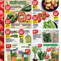Antevisão Folheto PINGO DOCE Lojas Pequenas Promoções de 12 a 18 janeiro p4.jpg